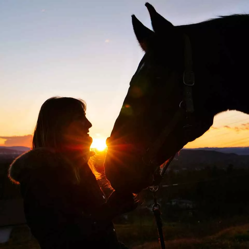 Saskia mit Pferd vor Sonnenuntergang