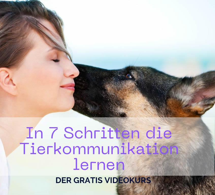 Der Tierkommunikation Videokurs: Eine Anleitung zum selbst lernen Der Tierkommunikation Videokurs: Eine Anleitung zum selbst lernen