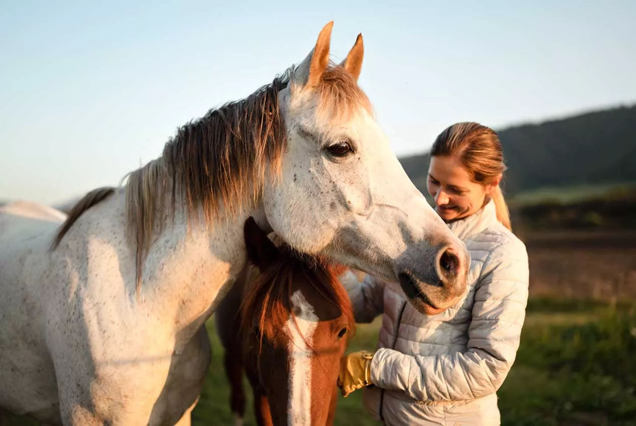 frau-mit-pferd Der Beruf der Tierkommunikatorin heute