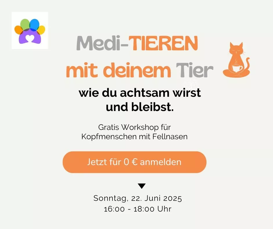 PopUp_Meditieren-Workshop