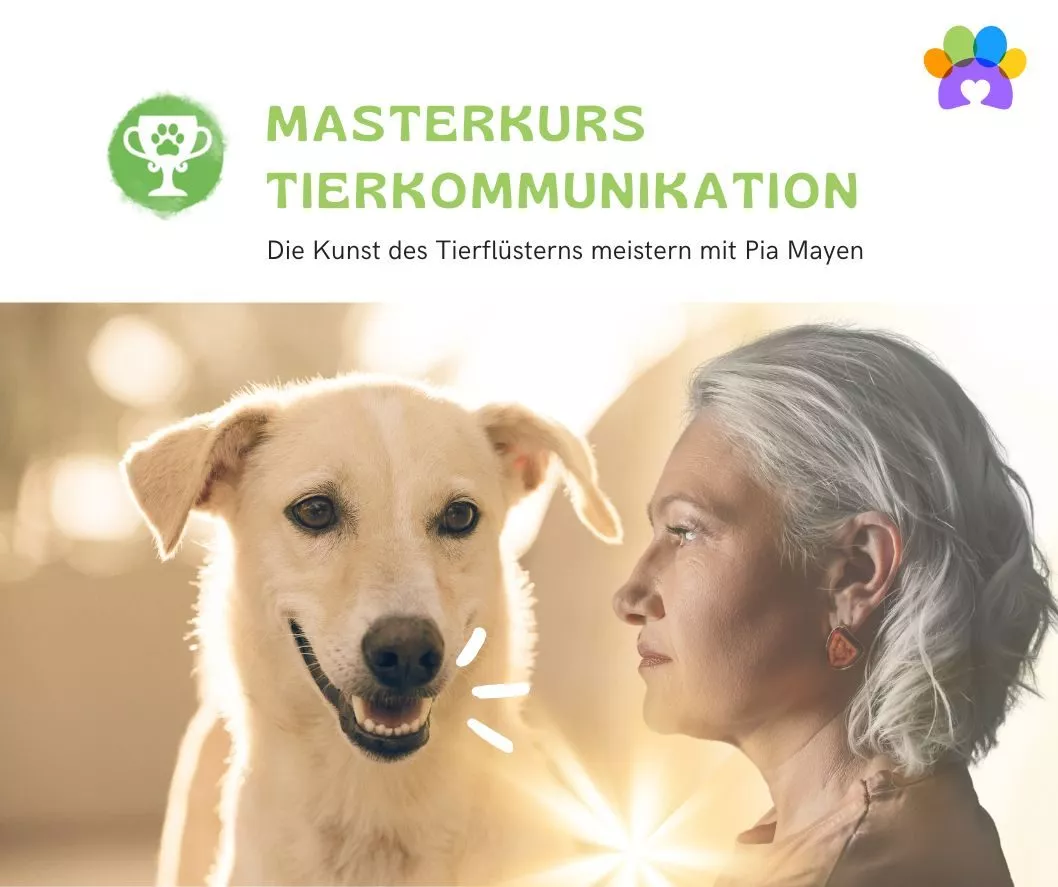 Masterkurs_Visual-Tierzeichen Persönlicher Fortschritt durch Tierkommunikation