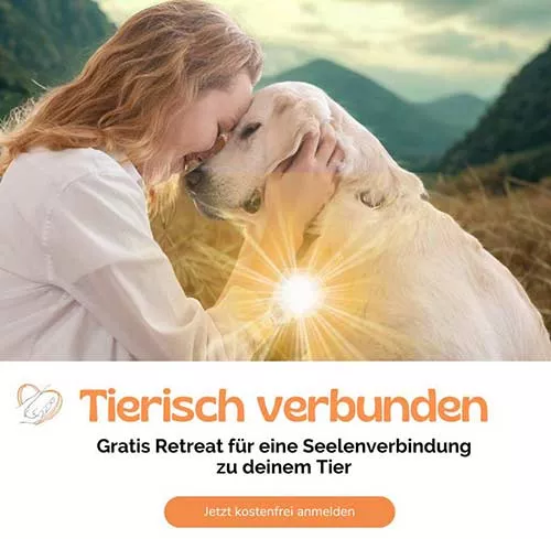 Popup Bild