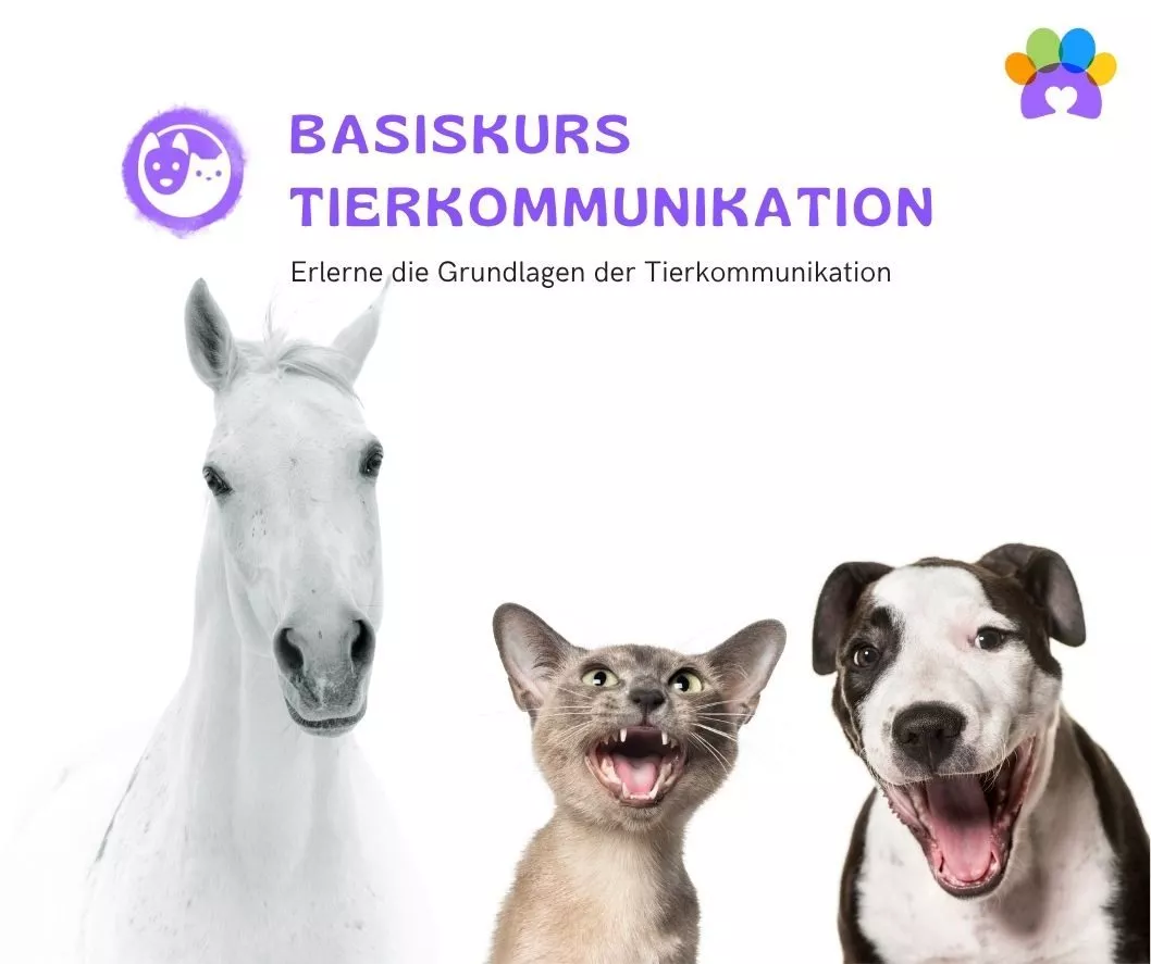 Basiskurs_Visual-Tierzeichen mitreden