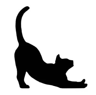 Katze-Schatten-1