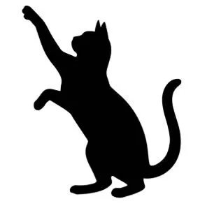 Katze-Schatten-2