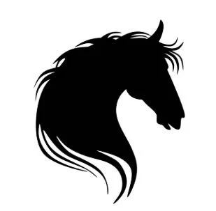 Pferd-Schatten